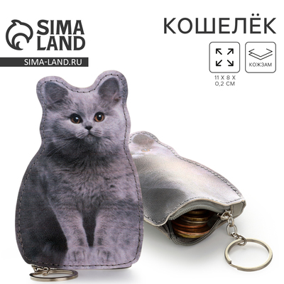 Кошелек детский «Пушистый котик», 8×11 см