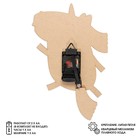 Часы настенные детские "Единорог", бесшумные, с маятником, 24х40 см, АА - Фото 4