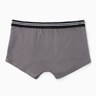 Трусы мужские боксеры, цвет светлый графит, размер 62 (6XL) - фото 50097223