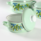 Набор кастрюль «Черника», 3 предмета: 1,5 л, 2 л, 3 л, эмалированные крышки - фото 24271980