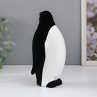 Сувенир керамика "Пингвин арктический" 9х7,2х16,3 см - фото 11213455