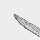 Нож обвалочный Magistro «Ортего», длина лезвия 14,5 см, дамасская сталь AUS-10 - фото 4433063