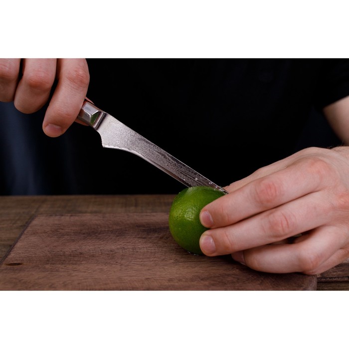 Нож обвалочный Magistro «Ортего», длина лезвия 14,5 см, дамасская сталь AUS-10 - фото 1909570729