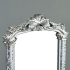 Зеркало напольное, в полный рост, 166 х 51 х 7см, серебро - Фото 4