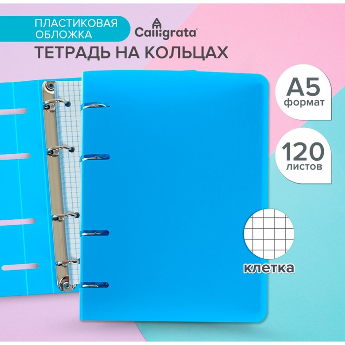 Тетрадь на кольцах Calligrata A5, 120 листов, в клетку, пластиковая обложка, блок офсет, голубая - Фото 1