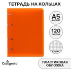 Тетрадь на кольцах A5 120 листов в клетку Calligrata Оранжевая, пластиковая обложка, блок офсет - фото 321219728