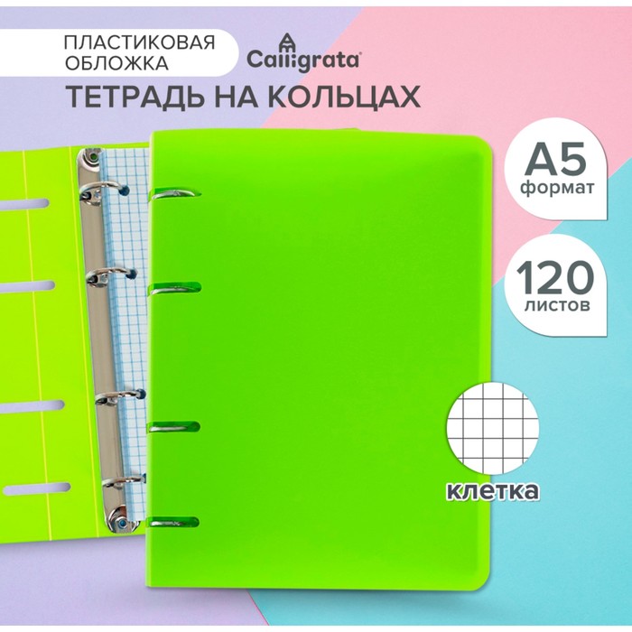 Тетрадь на кольцах Calligrata A5, 120 листов, в клетку, пластиковая обложка, блок офсет, салатовая - Фото 1