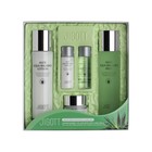 Набор уходовый с алоэ JIGOTT ALOE AQUA BALANCE SKIN CARE 3SET - Фото 2