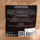 Сосновая шишка в молочном шоколаде, крафт-пакет 80 гр. - фото 24355102