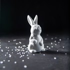 УЦЕНКА Набор для специй керамический «Зайка» солонка, перечница, 5.3×5.3×11.5 см - Фото 8