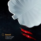 УЦЕНКА Блюдо фарфоровое «Бланш.Лист» 31×22×3.5 см - Фото 4