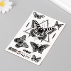 Татуировка на тело "Бабочки" 10х15 см - фото 9487781