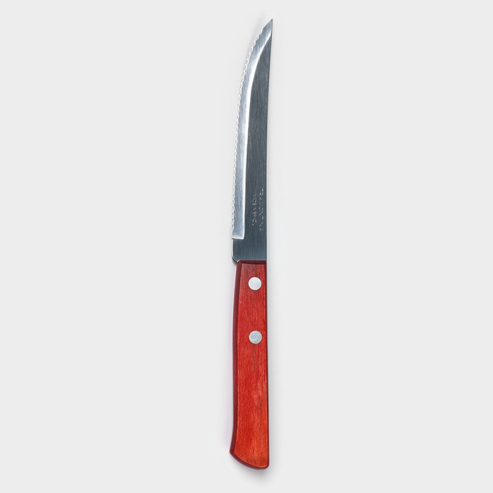 Нож кухонный для мяса TRAMONTINA Polywood, лезвие 12,5 см - фото 1909571890