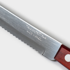 Нож кухонный для мяса TRAMONTINA Polywood, лезвие 12,5 см - Фото 4