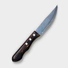 Нож кухонный для мяса TRAMONTINA Polywood Jumbo, лезвие 12,5 см - фото 5968416