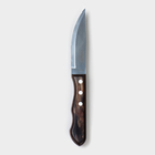 Нож кухонный для мяса TRAMONTINA Polywood Jumbo, лезвие 12,5 см - фото 4433316