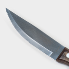 Нож кухонный для мяса TRAMONTINA Polywood Jumbo, лезвие 12,5 см - фото 4433317