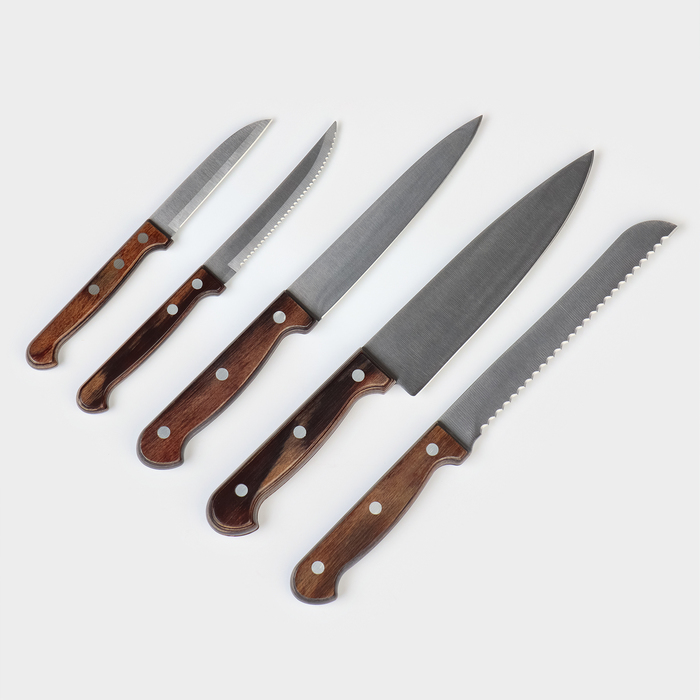Набор кухонных ножей TRAMONTINA Polywood, 5 предметов - фото 1884578218