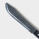 Нож кухонный для мяса TRAMONTINA Plenus, лезвие 17,5 см - Фото 3