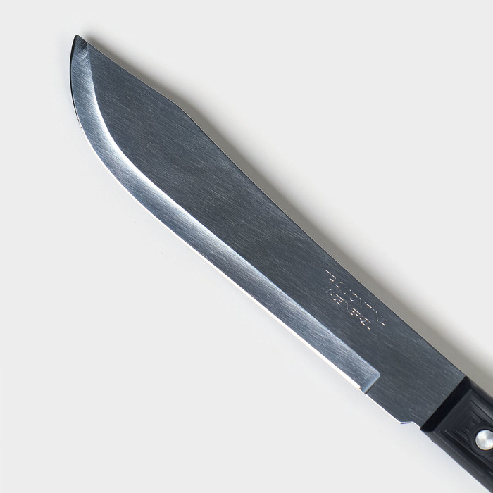 Нож кухонный для мяса TRAMONTINA Plenus, лезвие 17,5 см - фото 1909571918