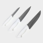 Набор кухонных ножей TRAMONTINA Premium, 3 шт - Фото 2