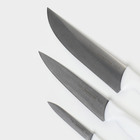 Набор кухонных ножей TRAMONTINA Premium, 3 предмета - Фото 3