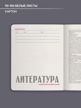 Тетрадь предметная 48 листов в линейку «Зверобудни. Литература», обложка картон