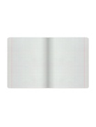 Предметная тетрадь по химии «Альт. Зверобудни», 48 листов, в клетку, со справочным материалом, картонная обложка - Фото 4