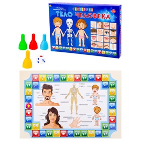 Игра-викторина для малышей "Тело человека" ИН-8520