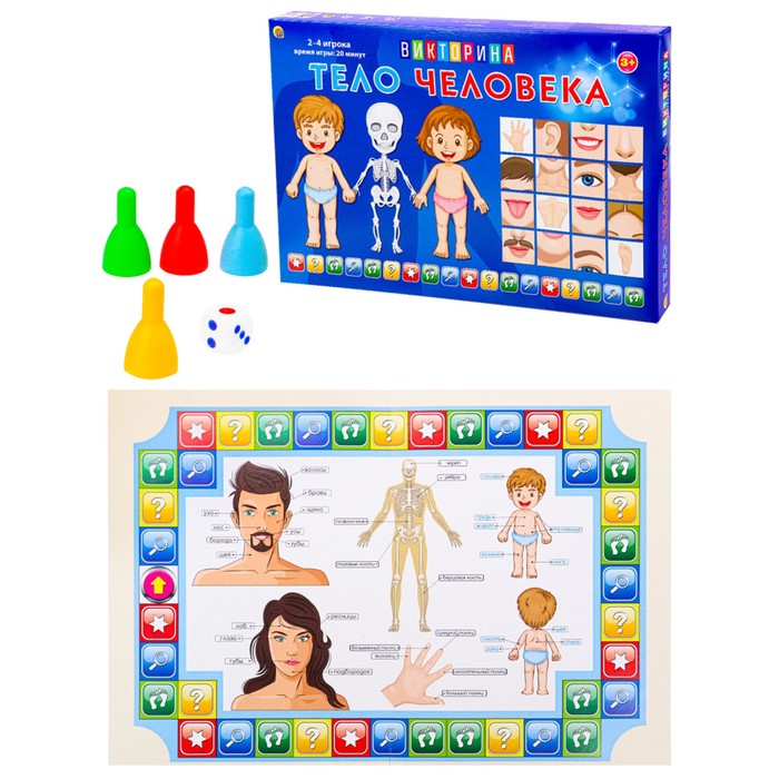 Игра — викторина для малышей «Тело человека», 2-4 игроков, 3+ - фото 1908104042