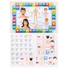 Игра — викторина для малышей «Тело человека», 2-4 игроков, 3+ - фото 23820909
