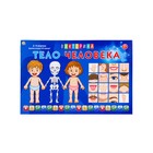 Игра — викторина для малышей «Тело человека», 2-4 игроков, 3+ - фото 23820914