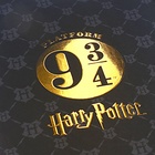 Пенал 1 секция 130 х 190 мм, Hatber "Гарри Поттер", ламинированный картон, чёрный (объёмный 3D-рисунок) NPn_44027 - Фото 6