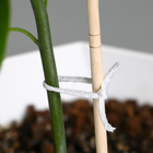 Шнур для подвязки растений, 200 м, толщина 2 мм, цвет МИКС, Greengo - фото 9475287