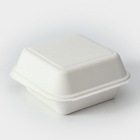 Ланч - бокс, коробка для бенто-торта и бургера, 15,2×15,2×8 см, сахарный тростник, 50 шт/уп, бежевый - Фото 12