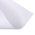 Набор 5 листов, ватман, чертежный, А0, 840×1189, 160 г/м² - Фото 3