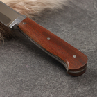 Нож Корд Куруш - Малый, текстолит, гюльбанд олово, 95Х18 (13-14см) - Фото 2