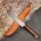 Нож Корд Куруш - Малый, текстолит, гюльбанд олово, 95Х18 (13-14см) - Фото 4