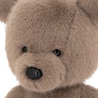 Мягкая игрушка «Медвежонок Тёпа», цвет мокко, 25 см - Фото 4