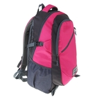 Рюкзак туристический "Турист", 1 отдел, отдел для ноутбука, 2 наружных и 2 боковых кармана, усиленная спинка, цвет розовый - Фото 2