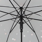 Зонт - трость полуавтоматический «Цветы», 8 спиц, R = 45 см, цвет МИКС - Фото 7