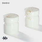 Набор для специй 2 пред Magistro "Церера" солонка, перечница, цвет бело-золотой 9883762