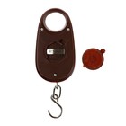 Весы-безмен Luazon LVU-01, электронные, до 25 кг, точность до 5 г, подсветка, коричневые - Фото 7