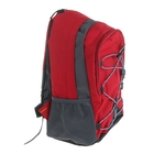 Рюкзак молодёжный "Мини", 1 отдел, наружный карман, 2 боковых кармана, цвет красный - Фото 2