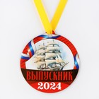 Медаль на магните на Выпускной «Выпускник 2024», 8,5 х 9 см - Фото 3