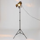 Торшер "Кино" LED 35Вт черный 65х65х90-180 см - фото 23978735