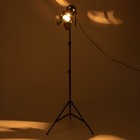 Торшер "Кино" LED 35Вт черный 65х65х90-180 см - фото 23978736