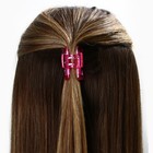 Набор крабов для волос 3 шт. "Нежность", 4.5 х 2.5 х 2.5 см - фото 11218015