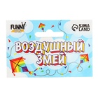 Воздушный змей «Бабочка», цвета МИКС - фото 9454668