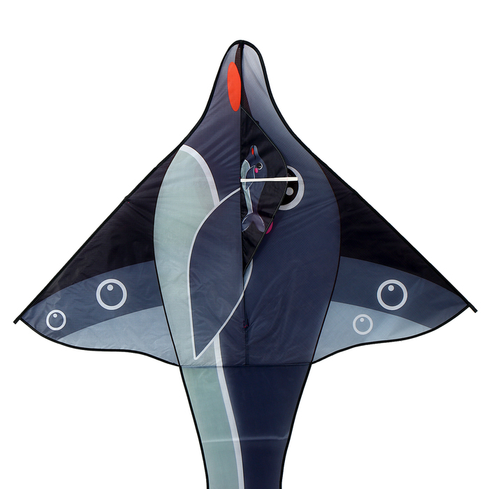 Воздушный змей «Дельфин», цвета МИКС - фото 1906661310
